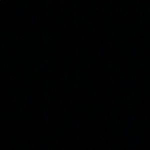 Meet your Posher, Dylan